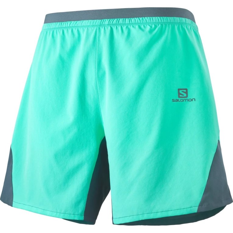 Turquoise Salomon Cross 7'' No Liner Men's Shorts | PH 72153T